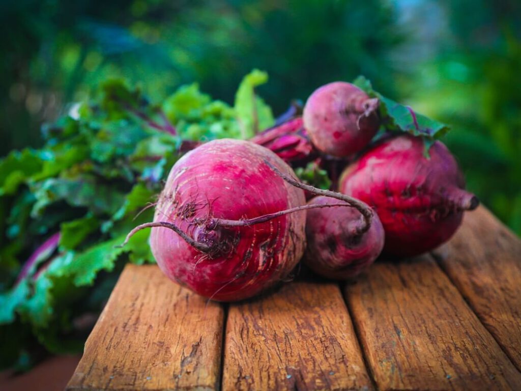 Beetroot benefits for plant based diet
