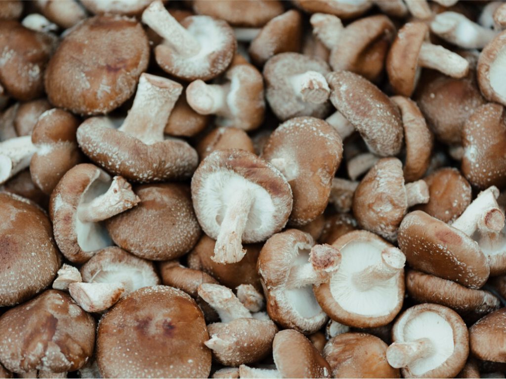 5 Healthiest Mushrooms
