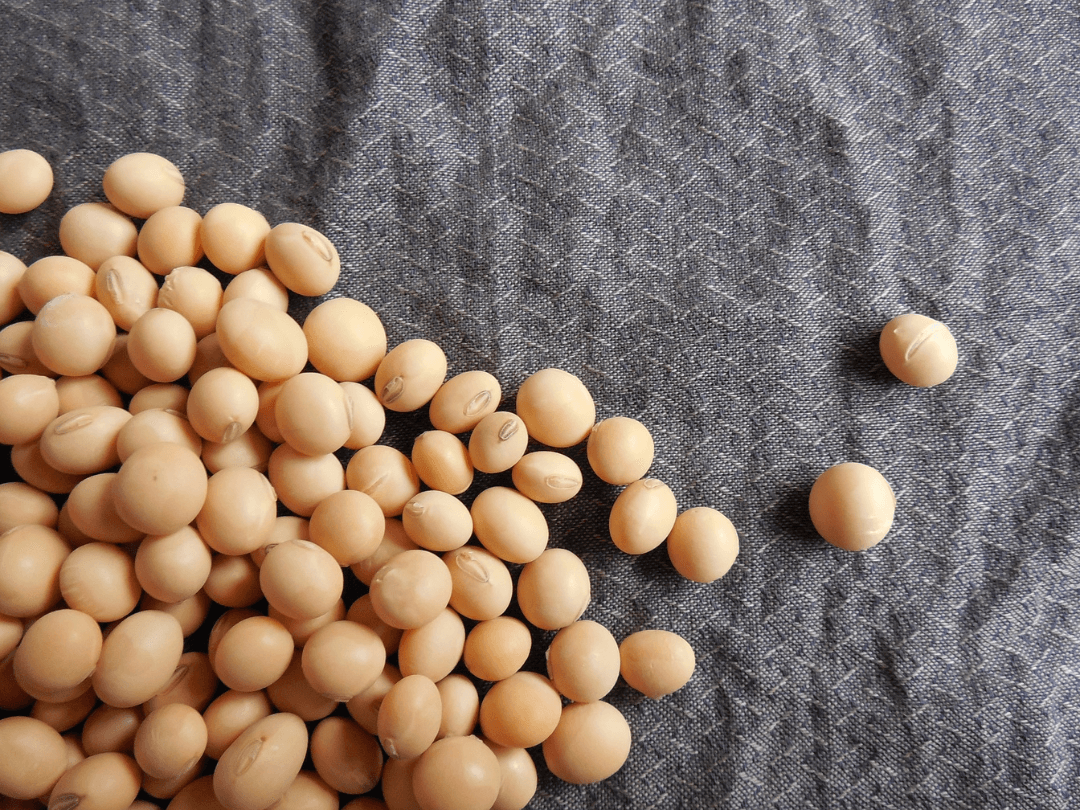 Soybeans and Plant-based diet